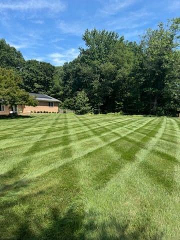 Season-Ready Lawn with Professional Fall Services image