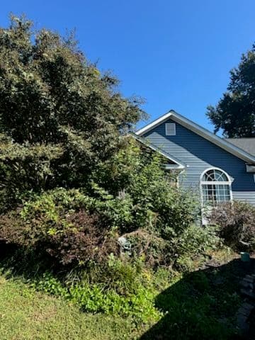 Landscape Transformation at Huntingtown Residence image