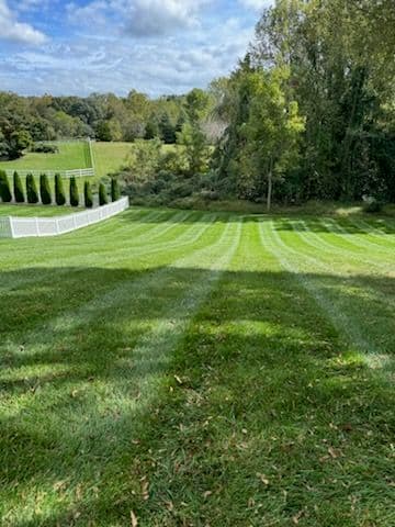 Immaculate Striped Lawns by Tall Pines Landscaping image