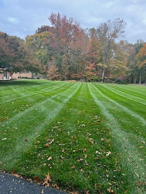 Gallery photos for Immaculate Striped Lawns by Tall Pines Landscaping: Image #3