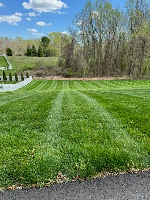 Precision Lawn Striping and Maintenance image