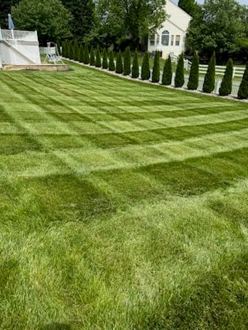 Gallery photos for Precision Lawn Striping and Maintenance: Image #3