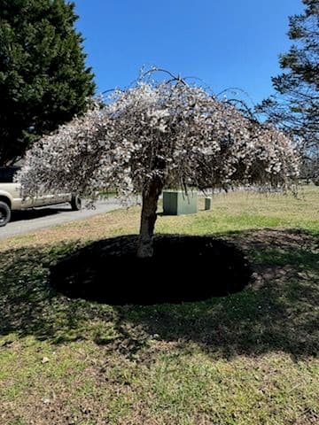 Spring Mulch Installations in Huntingtown image