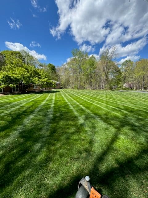Lawn Stripes Showcase image