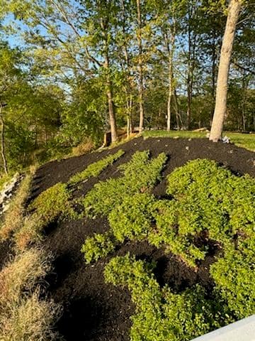 Gallery photos for Transformative Waterfront Landscaping in Huntingtown: Image #2