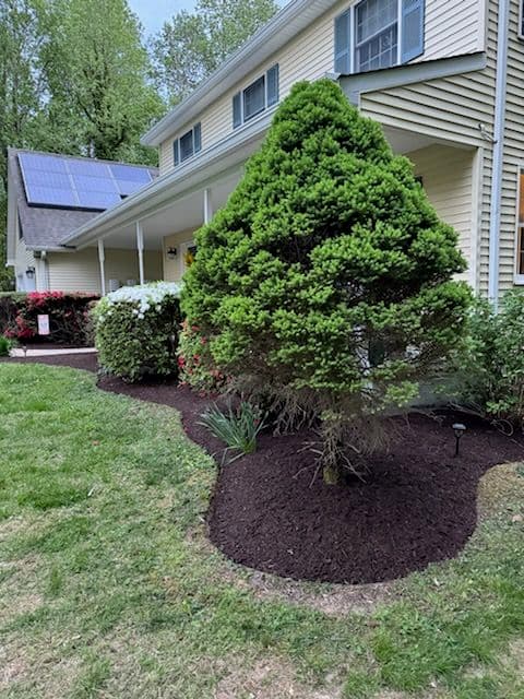Transform Your Yard with Our Mulch Magic image