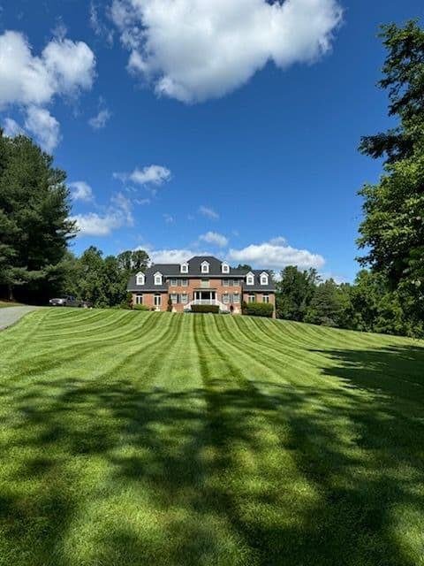 Stunning Lawn Transformations in Owings MD image
