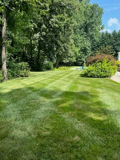 Gallery photos for Transform Your Lawn with Our Expert Care: Image #2