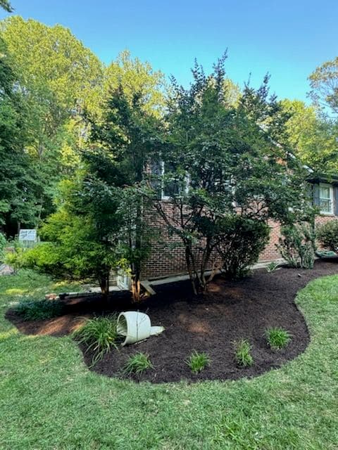Transform Your Garden with Dyed Mulch and River Rock image