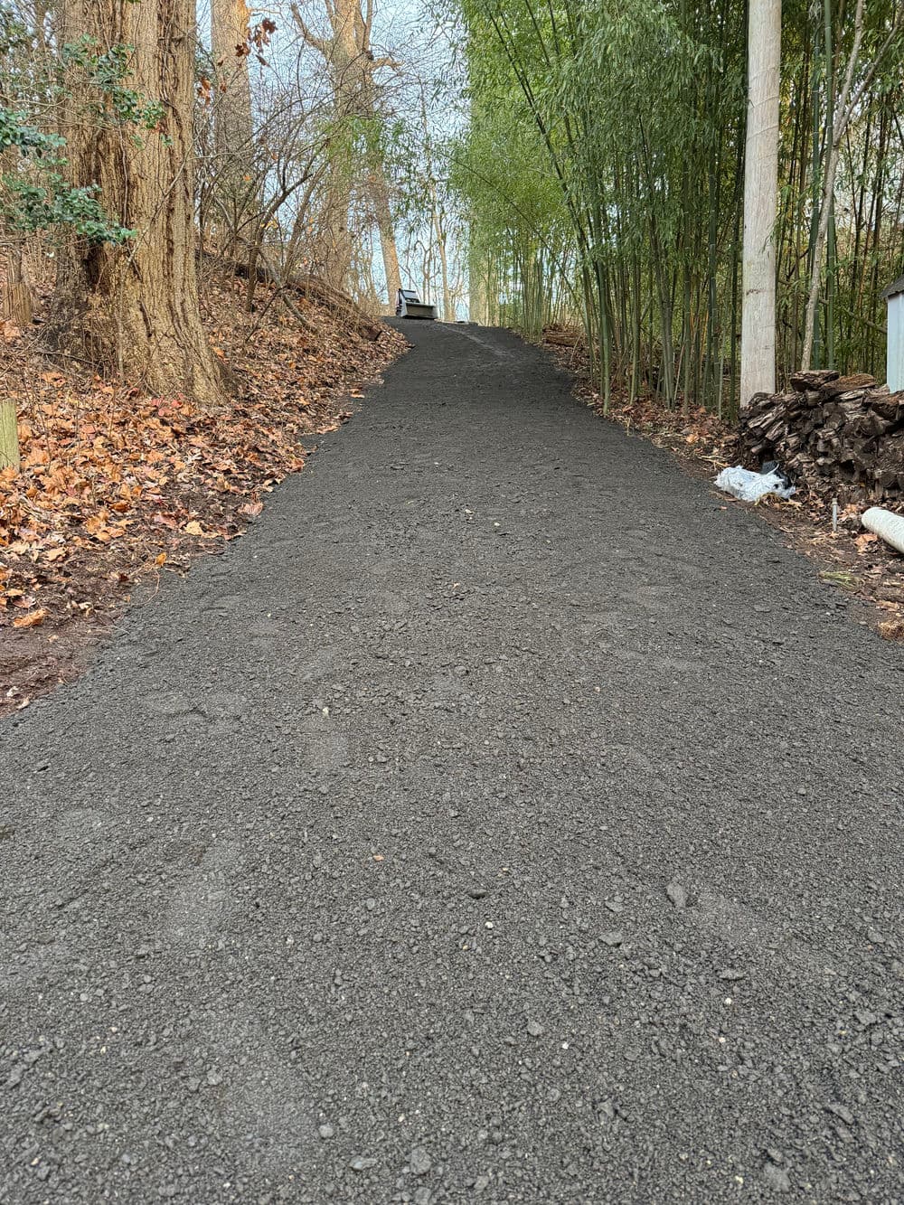 Gravel path leading uphill through wooded area with bamboo and autumn leaves.