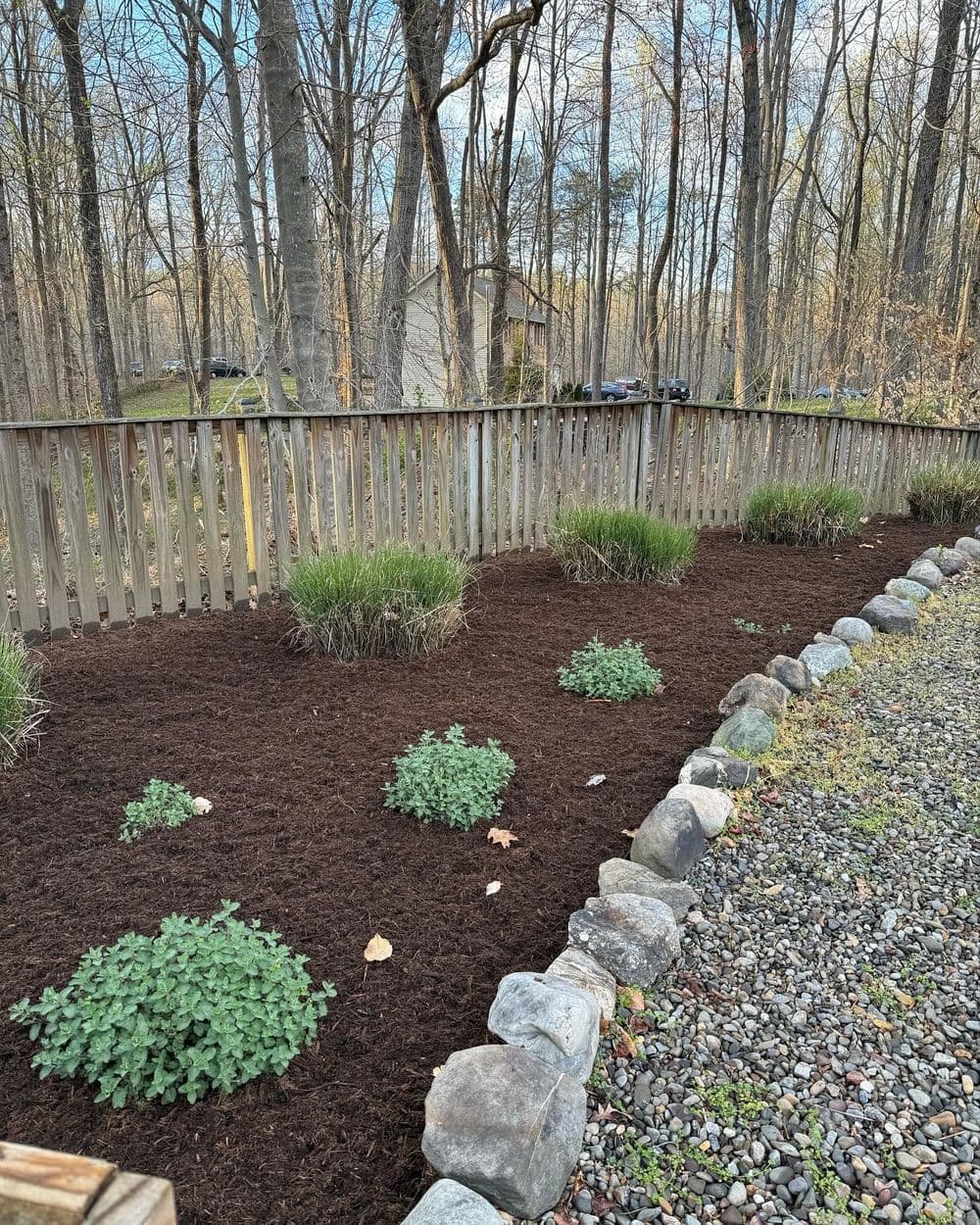 Garden bed with freshly mulched soil and green plants bordered by stones and wooden fence.
