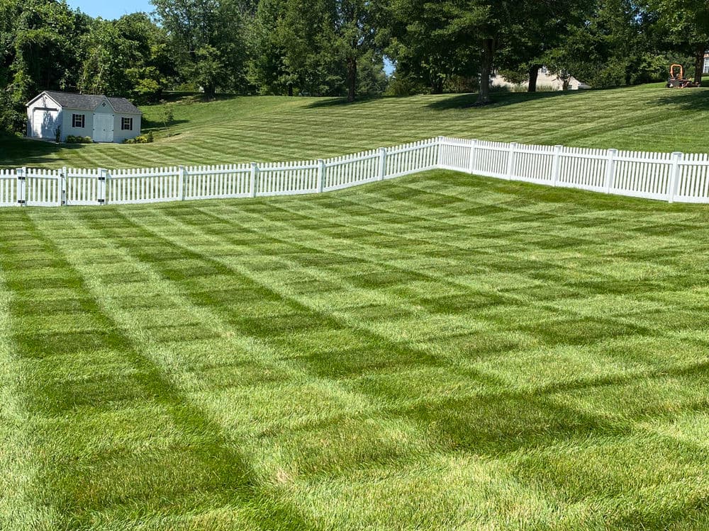 Well-manicured lawn with checkerboard pattern and white picket fence in scenic landscape.